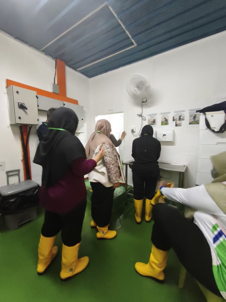 Workshop participants wearing protective boots during a hygiene demonstration